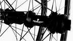 SALT Elite S36 Hub